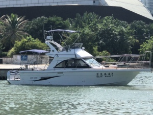 Grandsea - <span class=keywords><strong>Barco</strong></span> de Fibra de Vidrio de 11.5m con Motor Fuera de Borda, 33 Nudos, Pequeño Crucero de Alta Velocidad con Flybridge, <span class=keywords><strong>Barco</strong></span> de Pesca de Recreo en <span class=keywords><strong>Venta</strong></span> - Product Image 5