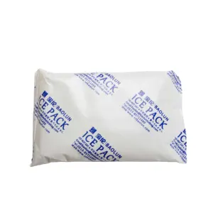 Hot Selling BAOLUN Gel Ice Pack 20*14CM 500g For Food Delivery Cold Shipping Reusable