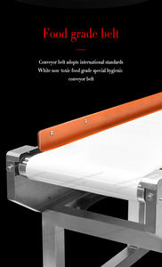 Gıda güvenliği ağır metal dedektörü gıda üretim hattı için ince parçacık metal dedektörü fiyat - Product Image 4