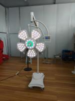 Lampe chirurgicale LED pour bloc opératoire vétérinaire, lampe frontale pour animaux