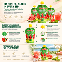 Pochettes alimentaires verticales à bec verseur, surface mate, résistantes à la déchirure et aux liquides acides, anti-affaissement sous pression négative, impression personnalisée pour boissons