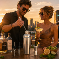 Ensemble de shaker à cocktails en acier inoxydable finition miroir, 5 pièces, outils de bar avec doseur, cuillère de bar et 2 becs verseurs pour bar à domicile