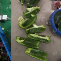 Mesin Pengupas Inti Cabai Hijau Mesin Pemisah Inti Paprika Hijau Mesin Pemisah Cabai Hijau