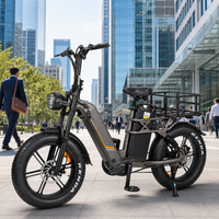 Vélo cargo électrique 48V à double batterie au lithium pour livraison de repas, moteur double 2000W, pneus larges 20 pouces, direct usine