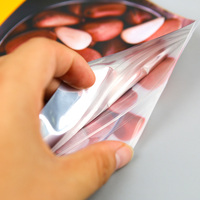 Sachet Doypack Personnalisé 100g Refermable à Fermeture Éclair en Plastique Mylar pour Aliments, Snacks, Noix, Fruits Secs et Aliments pour Animaux