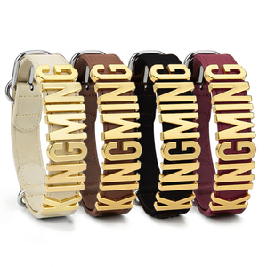 <span class=keywords><strong>Collare</strong></span> per Cani in Pelle Personalizzabile con Charm Regolabile e Accessori Metallici - Product Image 2