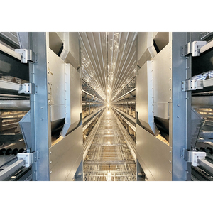 Équipement agricole de haute qualité pour poulets de chair et poules pondeuses, poulailler - Product Image 3