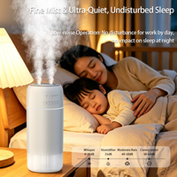 Humidificateur à réservoir d'eau en acier inoxydable 316, double pulvérisation, brumisateur ultrasonique, 800 ml, fonction minuterie pour la maison, le bureau, la voiture