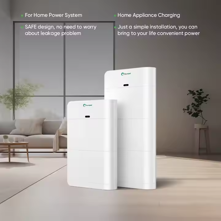 Sunpal Lithium Ion Batteries 100Ah 15kWh 20kWh 204.8V Lifepo4 Battery Solar Power · image 5