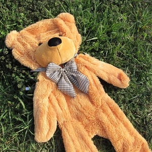 Çin toptan yumuşak Unstuffed peluş hayvan oyuncak oyuncak ayı derileri peluş oyuncak ayı derileri peluş oyuncak ayı unskin cilt - Product Image 1