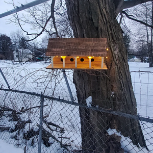Grand nichoir en bois de cèdre à quatre lits Ferme Violet Martin Maison <span class=keywords><strong>Nid</strong></span> Fournitures pour oiseaux - Product Image 4