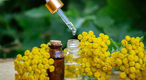 Aceite de <span class=keywords><strong>Immortelle</strong></span> Orgánico, Aceite Eterno, Aceite Esencial de Helichrysum Italicum Natural para el Cuidado de la Piel - Product Image 5