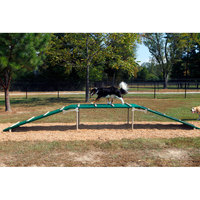 Équipement de terrain de jeu d'entraînement de parc de chien Teeter Totter