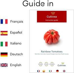 Venta caliente Mini Kit Graines de Tomates Arc en Ciel BIO Le permite cultivar sin esfuerzo sus propios tomates arcoíris - Product Image 3