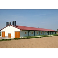 Estructura de Acero Galvanizado Prefabricada para Gallinero, Moderna Carcasa Metálica para Aves de Corral, Construcción de Naves Avícolas de Larga Duración