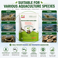 Poudre Probiotique Multifonctionnelle de Bacillus Subtilis pour l'Aquaculture, Nettoyage des Étangs, Détoxification de l'Eau, Additif Alimentaire