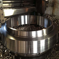 Wjh Custom Stainless Steel Generator Retaining Ring for and Nuclear Power Equipment
