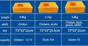 Accessori pollaio plastica resistente tre porte cassa di pollame per azienda avicola - Product Image 5
