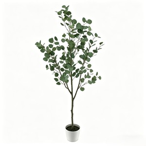 Eucalyptus, white basin magnesium oxide. Factory direct wholesale prices. Durable and evergreen. - Product Image 1