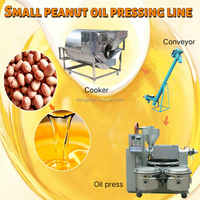 Máquina de Extracción de Aceite de Maní de 1-10 TPD con Tostador Eléctrico, Transportador y Prensa-Filtro, Máquina Todo en Uno para Molinos de Aceite de Pequeña Escala