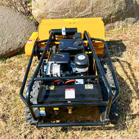 Tondeuse à fléaux chenillée télécommandée économique avec certificat CE EPA pour le travail sur les arbustes
