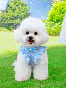 Harnais et laisse pour animaux de compagnie en maille douce et respirante - Ceinture légère et confortable pour chiots et chatons - Product Image 4