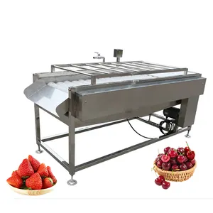 ZH Automatic Fruit Washing Machine Fruit Brush Washer Fruits Brush Roller Washer Machine