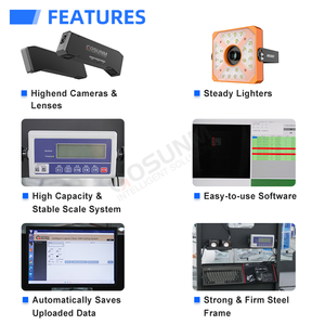 Không người lái tự động <span class=keywords><strong>SORTER</strong></span> tĩnh dimensioning hệ thống cân DWS tự động hậu cần kho bưu kiện Z hình dạng phân loại thiết bị - Product Image 2