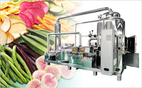 Machine à Frire les Légumes Sous Vide Commerciale, Machine à Frire les Chips de Banane Sous Vide, Machine à Frire les Chips de Citrouille Sous Vide