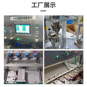 Válvula Solenoide Richain Renqi, Estándar Nacional, Sellado de Goma, Unidireccional, Temperatura Ambiente, Aplicación Electrónica y Manual - Product Image 1