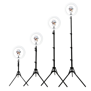 Offre Spéciale personnalisé bi couleur 10 pouces photographie lumière droite selfie tiktok vidéo en direct lumière de remplissage led annulaire - Product Image 1