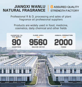 Olio Essenziale di Vaniglia 100% Puro e Naturale, Alta Purezza, per Candele, Profumi, Corpo, Incolore, per Cura della Pelle - Product Image 5