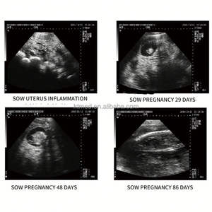 Draagbare handheld dierenultrasound RKU10 met lineaire rectale probe, goedkope prijs voor gebruik bij paarden en runderen - Product Image 6