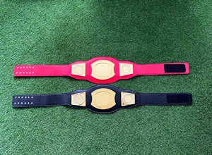 Vendita calda cintura personalizzata cintura wrestling nuovo Design campionato del <span class=keywords><strong>mondo</strong></span> tutti gli sport per le donne uomo - Product Image 5