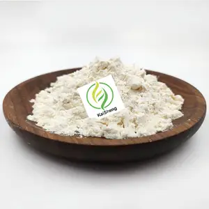 Wholesale Natural Pure Almond Powder Almond Flour Powder For Baking