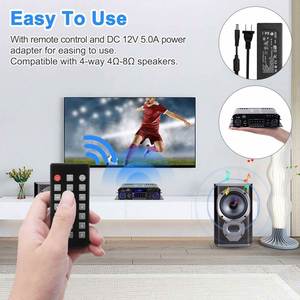 Amplificador de Audio Portátil para Automóvil, Radio, Música, Cine en Casa, Venta al Por Mayor - Product Image 6