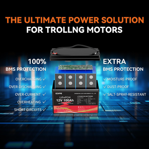 CUSTOM 12V 100ah 50Ah 12.8V 50Ah LFP LiFePO4 리튬 철 인산염 배터리 팩 (태양열 RV 블루투스 Lifepo4 배터리 포함)
