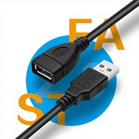 Câble d'extension USB 2.0 tressé à montage sur panneau 0,3 m, PVC, charge rapide 3A, options de longueur multiples personnalisées pour ordinateur et imprimante