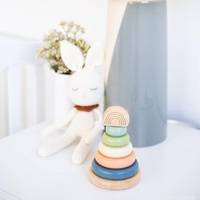 JET NEW Montessori Colonne d'empilage en bois Jouet éducatif sensoriel pour développer la motricité fine Âges 4-6 ans Emballage en boîte colorée