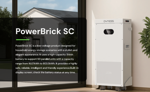 Batería de Litio Dyness Powerbrick SC 51.2v 314ah 16kwh, Batería LiFePO4 de Bajo Voltaje, 8000 Ciclos, con Pantalla LCD, Wifi, APP - Product Image 4
