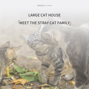 Résistant aux intempéries Extérieur Intérieur Chats Pliable Chaud Sauvage <span class=keywords><strong>Abri</strong></span> Amovible Doux Tapis Chauffant <span class=keywords><strong>Chat</strong></span> Maison - Product Image 4