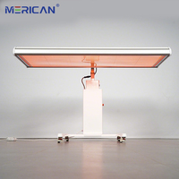 Panneau de luminothérapie rouge professionnel pour usage domestique, corps entier, avec LED infrarouges proches et photobiomodulation