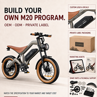 Vélo de montagne électrique haute vitesse M20 750W |   Moteur de moyeu arrière sans balais 48V, 7 vitesses, suspension intégrale, batterie lithium intégrée, hydraulique