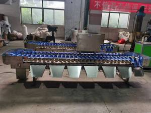 Máy Phân Loại Tự Động Hoàn Toàn Từ Quả Bơ Lê - Product Image 4