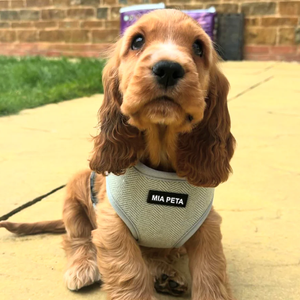 Fabricación OEM ajustable mascota perro <span class=keywords><strong>collar</strong></span> y correa arnés conjunto Tweed personalizado personalizar arnés para perro con correa - Product Image 2