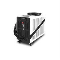 Machine de nettoyage laser à impulsions JPT 100W 200W 300W pour le décapage de peinture et la suppression de poussière sur le bois