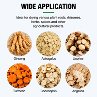 Séchoir à plateaux de type boîte pour plantes industrielles, idéal pour les herbes, les épices, le ginseng, le gingembre, le curcuma et les produits agricoles