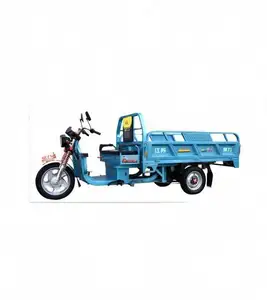 Trung Quốc Hiệu Suất Cao Điện Ba Bánh Cho Trang Trại Và Kho Giao Thông Ba Bánh Màu Xanh Lá Cây Điện Cargo Ebike 3 Bánh Xe Trike