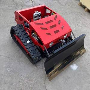 Cortadora de Césped a Gasolina con Control Remoto y Pala para Nieve, Ancho de Corte de 55 cm, Certificación CE, EPA e ISO - Product Image 4