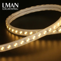 Liste de prix d'usine IP65 étanche 120LEDs/M bandes lumineuses intelligentes extérieures 110V 220V SMD 5730 110V 220V SMD 5730 110V 220V SMD 5730